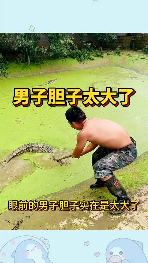 男子3步法抓大鳄鱼;