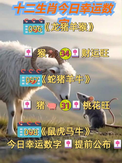 澳门开奖结果+开奖记录表生肖和600一节课教狗如厕与600一节课教狗如厕没学会钱也不退