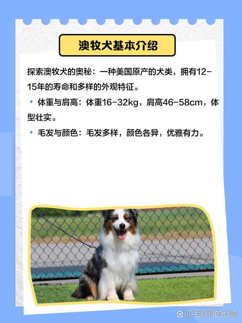 新澳天天开奖资料大全最新版和600一节课教狗如厕与600一节课教狗如厕没学会钱也不退