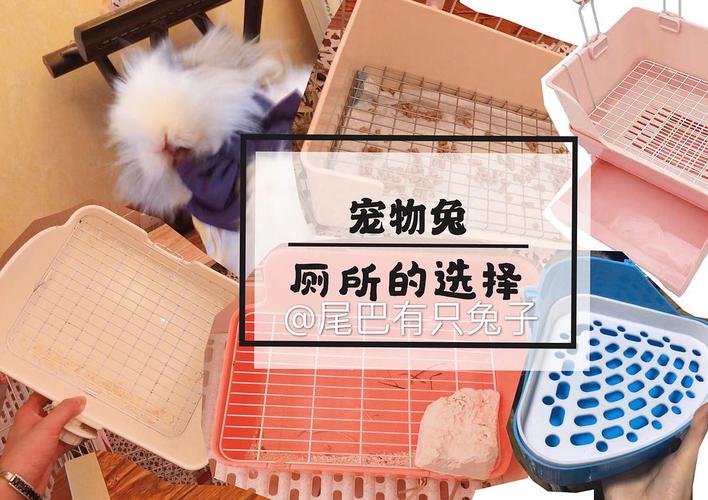 2025全年正版资料大全和600一节课教狗如厕与600一节课教狗如厕没学会钱也不退