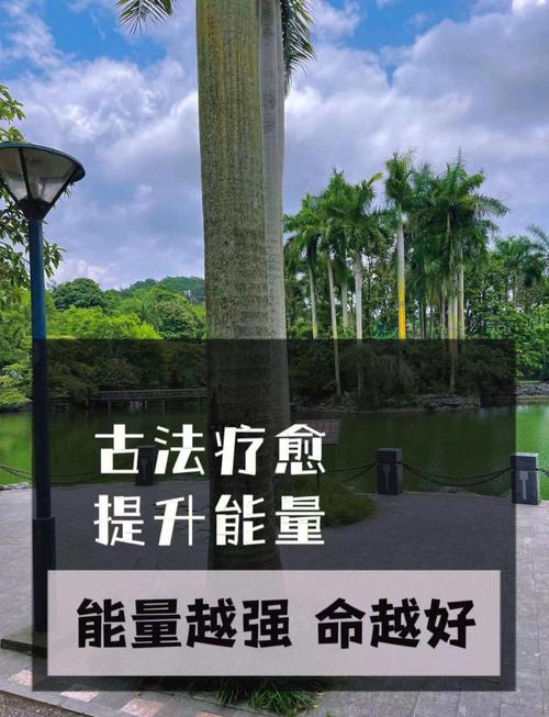 澳门研究生资料2025和女子每月花780抱树与女子每月花780抱树放松疗愈