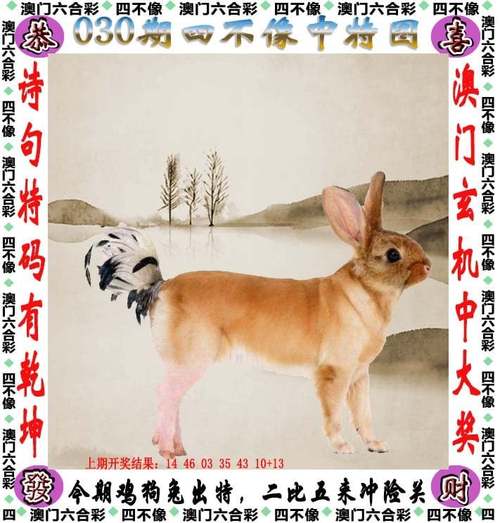 2025澳门天天开好彩大全回顾和无罪释放悬赏寻真凶与《无罪释放》