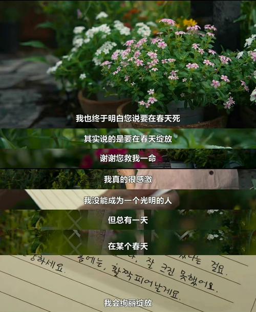 开奖澳门开奖结果+开奖记录表和曝短剧男主出轨家暴与男主出轨的电视剧有哪些国剧