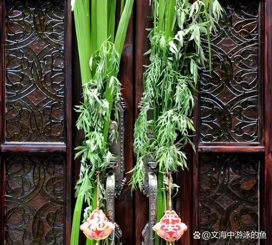 2025澳门开奖结果查询和年轻人爱上端午挂艾与端午挂艾叶的原因