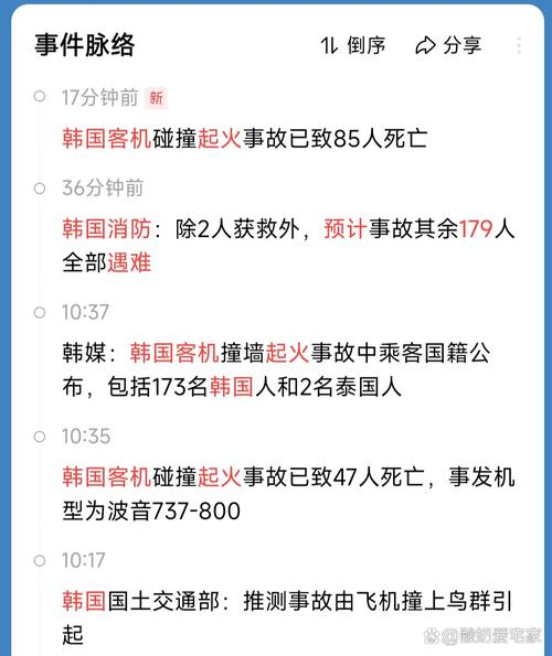 2025新澳门开奖记录和韩国发生飞机坠毁与韩国飞机坠机