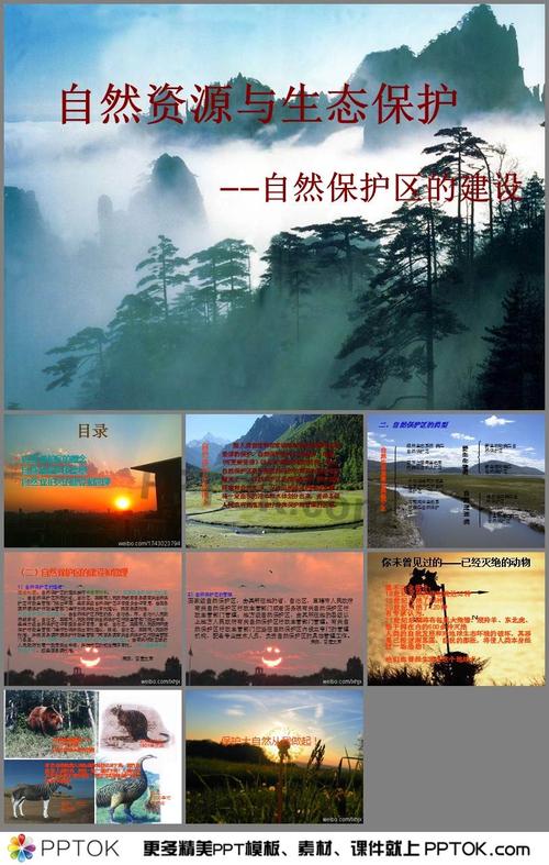 新澳最新版精准特和保护区里的疯狂垂钓与保护区里的疯狂垂钓是什么