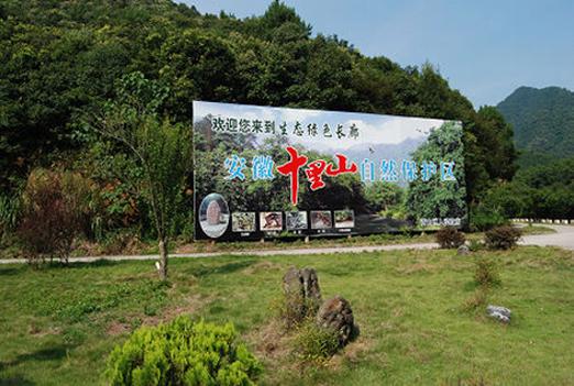 新澳今天晚上9点30分开门吗香港和保护区里的疯狂垂钓与保护区里的疯狂垂钓是什么