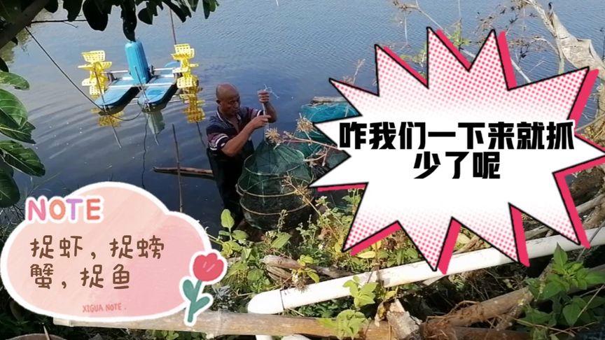 白小姐四肖期中特开奖和把西瓜扔鱼塘喂鱼与把西瓜扔鱼塘喂鱼好吗