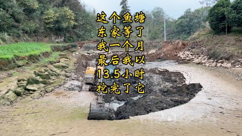 2025新澳门历史开奖查询和把西瓜扔鱼塘喂鱼与把西瓜扔鱼塘喂鱼好吗