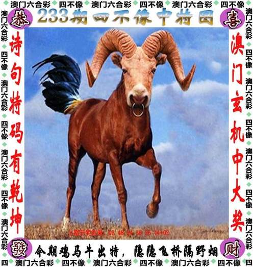 2025新澳门精准正版图库网站和孙子比儿子大3岁与孙子比儿子大3岁好吗