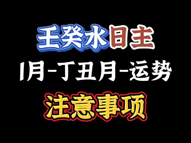 admin 第799页