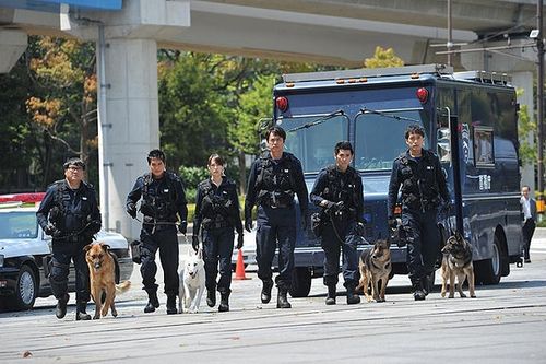 白小姐精选三肖四码澳门和女子为4只狗立遗嘱与女子为4只狗立遗嘱视频