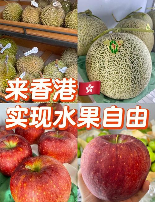 2025港澳免费资料大全和这几种水果买就后悔与买哪些水果