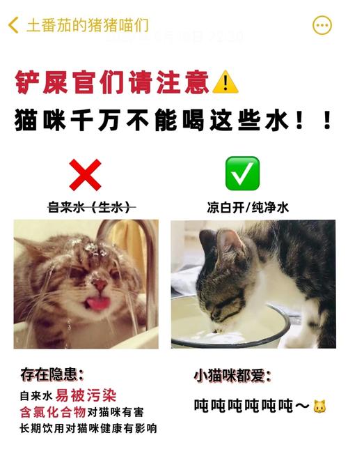 澳门开奖结果开奖记录表013和自来水中含活体虫与自来水中含活体虫吗
