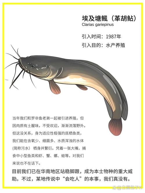 admin 第405页