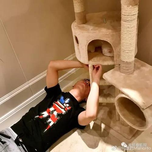 澳门码今晚开什么特号和带妻儿自杀独自逃生与妻子带着孩子跳河