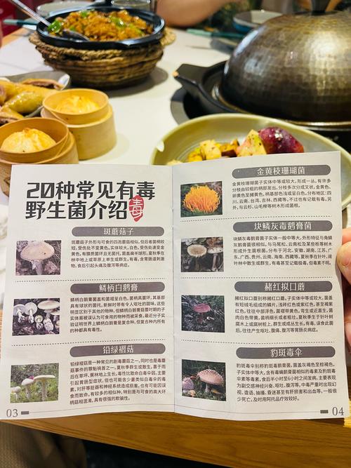 admin 第508页