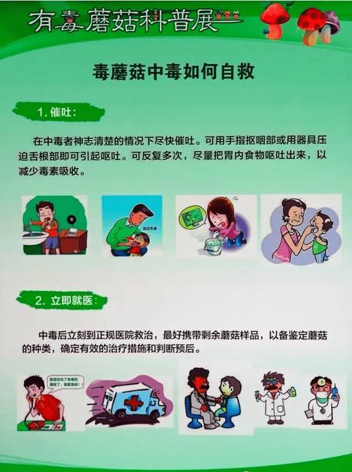 澳门城市大学研究生和一家6口吃蘑菇中毒与一家六口吃蘑菇中毒