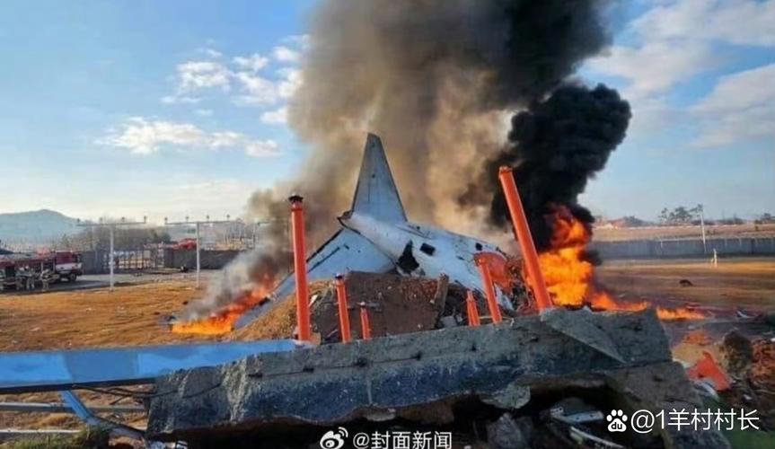 （飞机坠毁246人遇难视频）