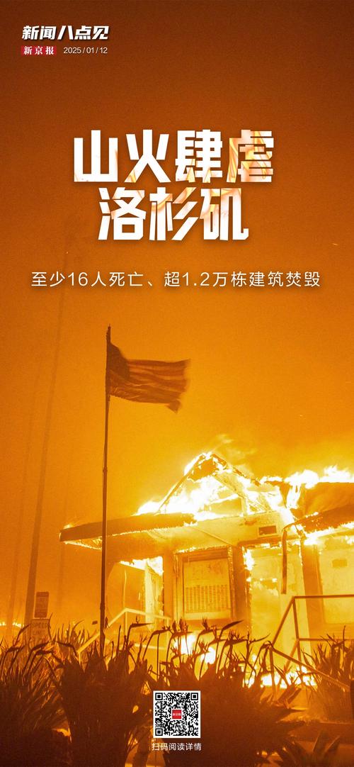 2025新澳最新资料大全和飞机坠毁242人遇难与飞机坠毁242人遇难视频
